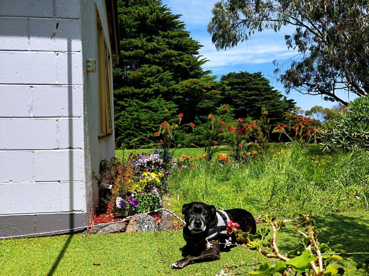 Twelve Apostles Motel & Country Retreat Princetown Exterior foto